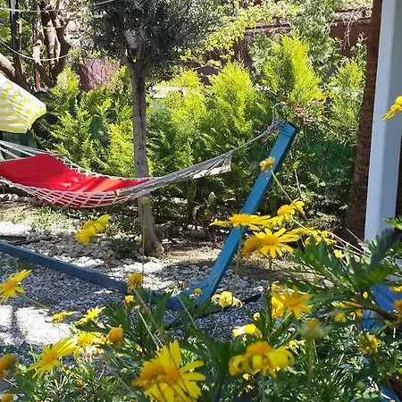 Konukevi Mila Çıralı