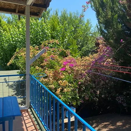 בית הארחה Mila Çıralı