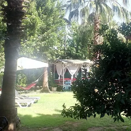 בית הארחה Mila