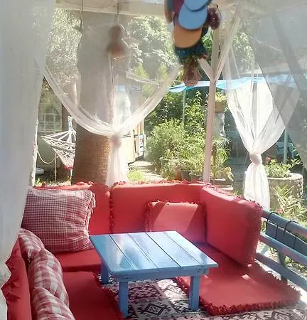 Mila Çıralı