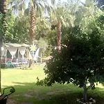 Mila Çıralı