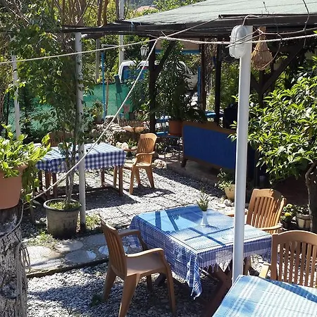 Pensión Mila Çıralı