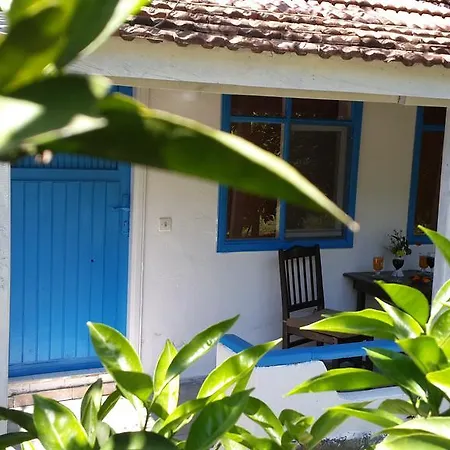 Mila Pensión Çıralı