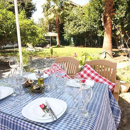 Mila Pensión Çıralı