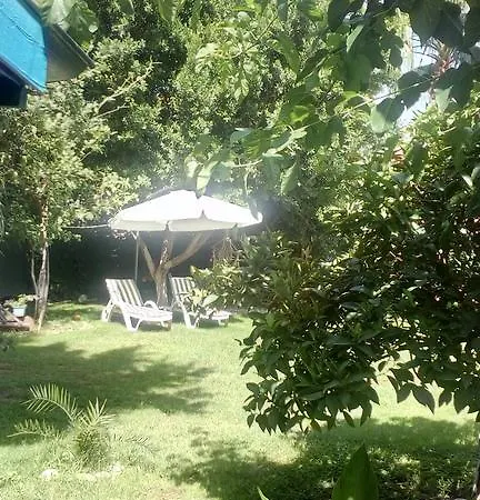 بيت ضيافة Mila