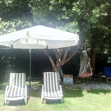 بيت ضيافة Mila