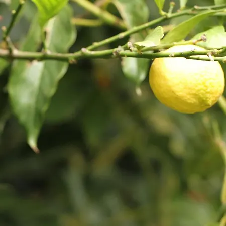 Mila بيت ضيافة